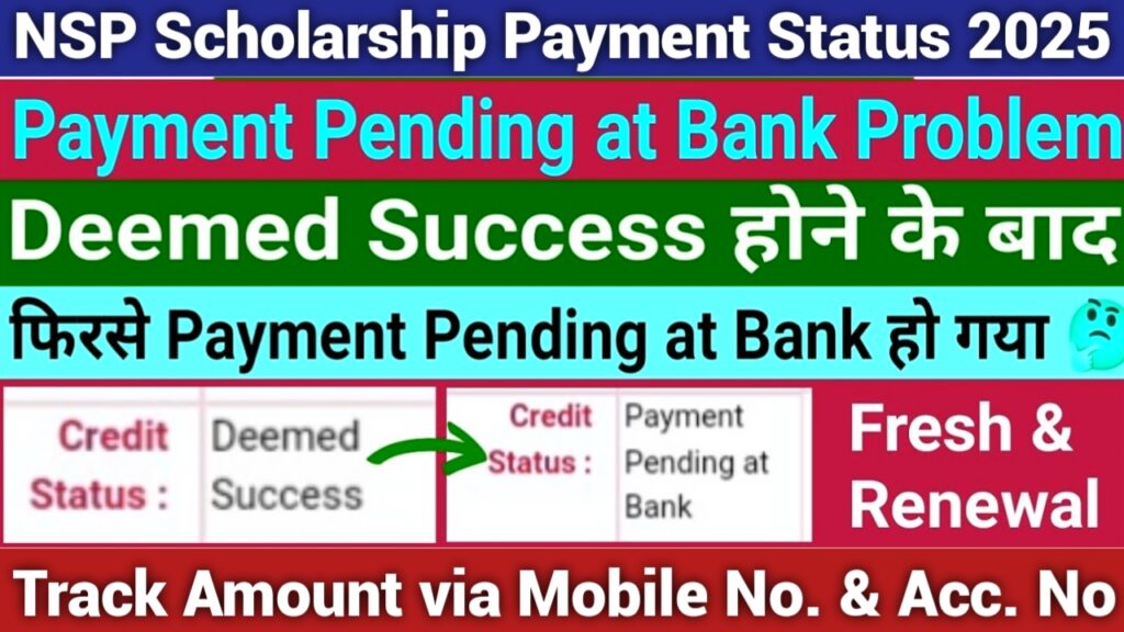 NSP Scholarship Payment Status 2025